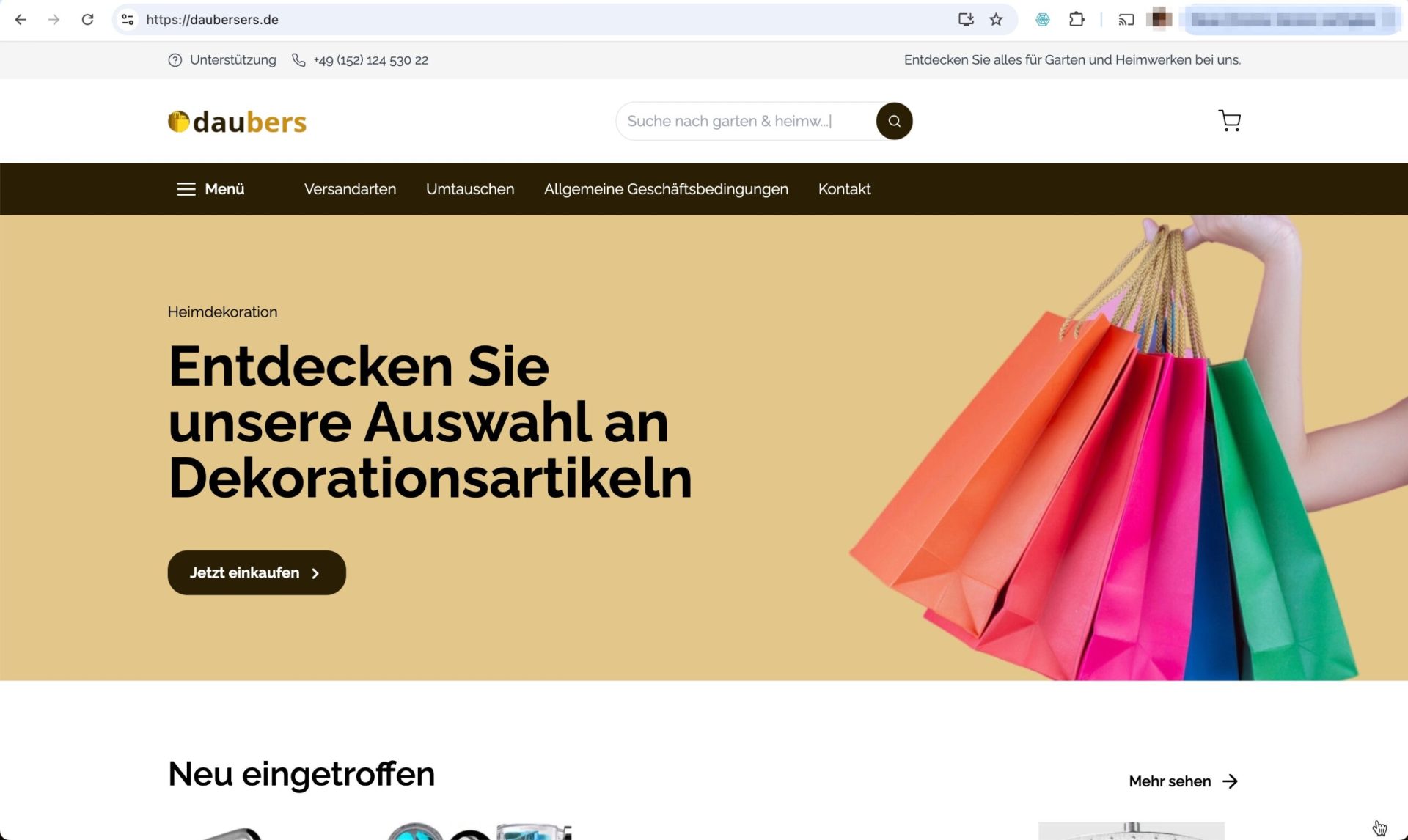 Screenshot daubersers.de
