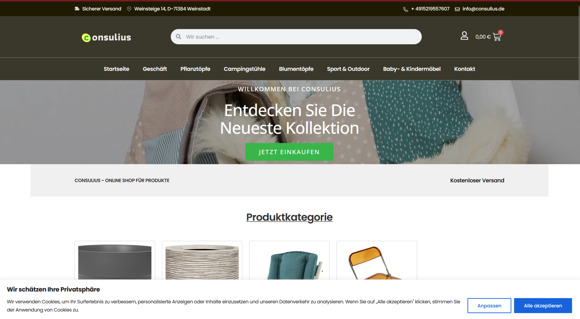 Screenshot consulius.de