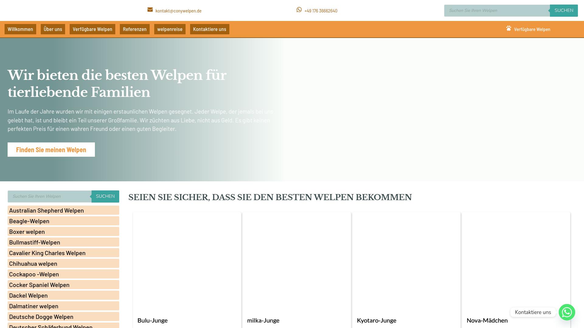 Screenshot conywelpen.de