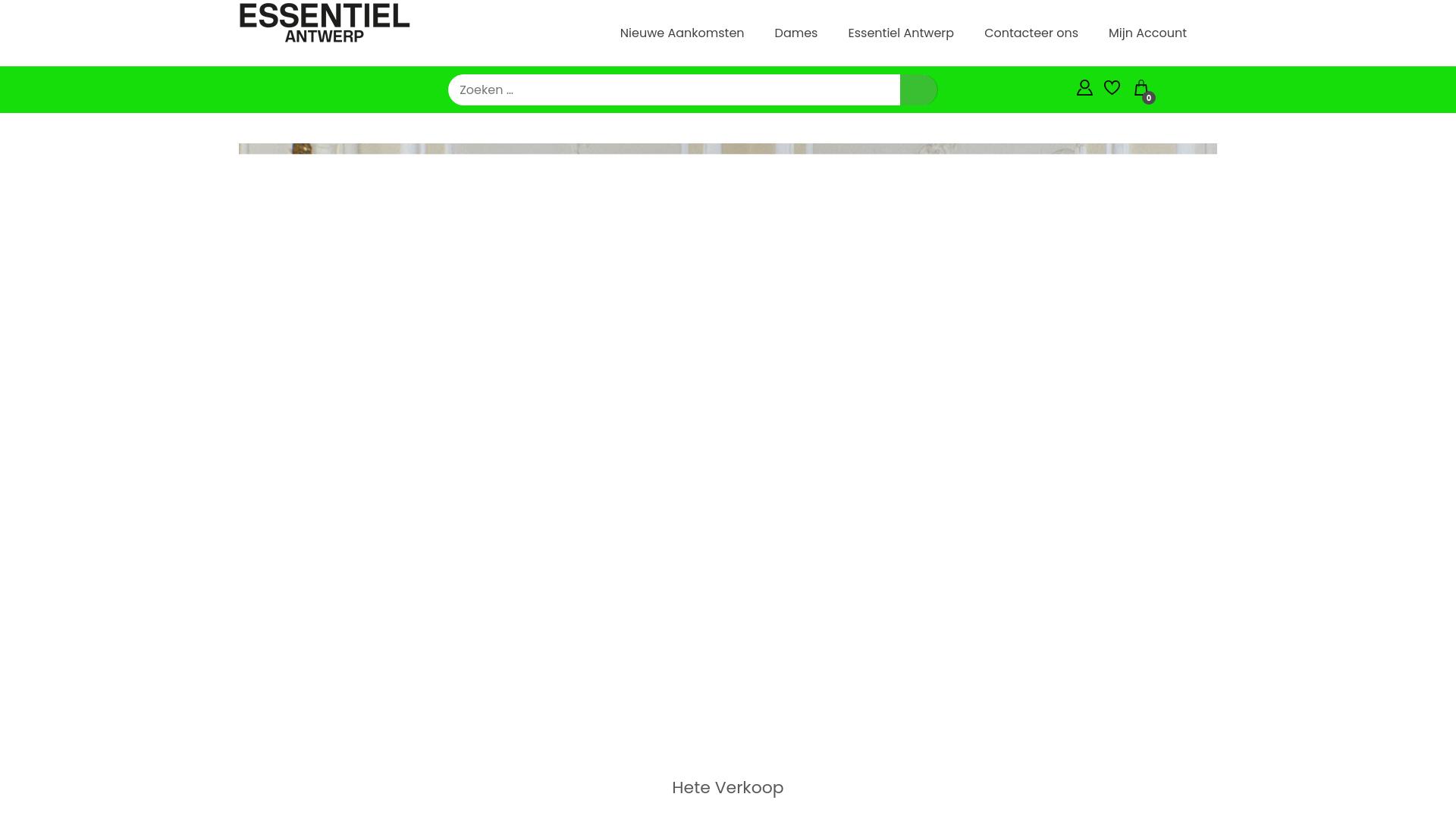 Screenshot susanmcneil.shop