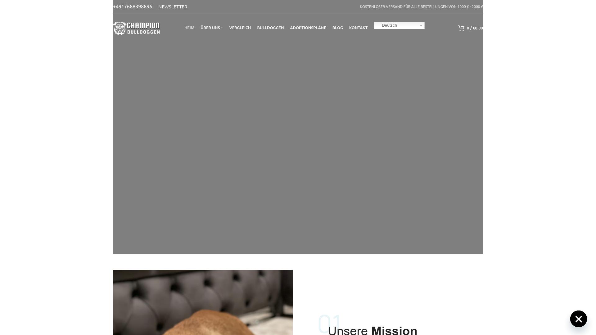 Screenshot champion-bulldoggen.com