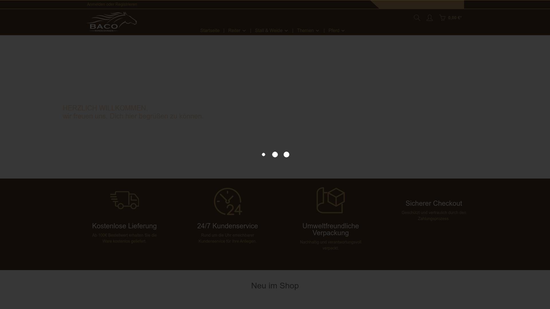 Screenshot baco-rondeshagen.de