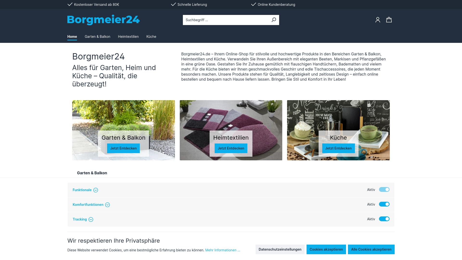 Screenshot borgmeier24.de