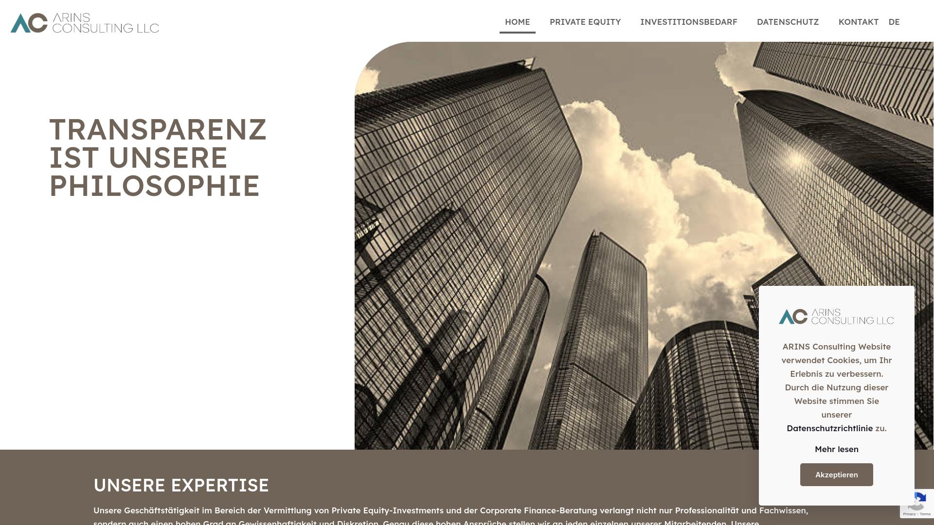 Screenshot arins-consulting.com