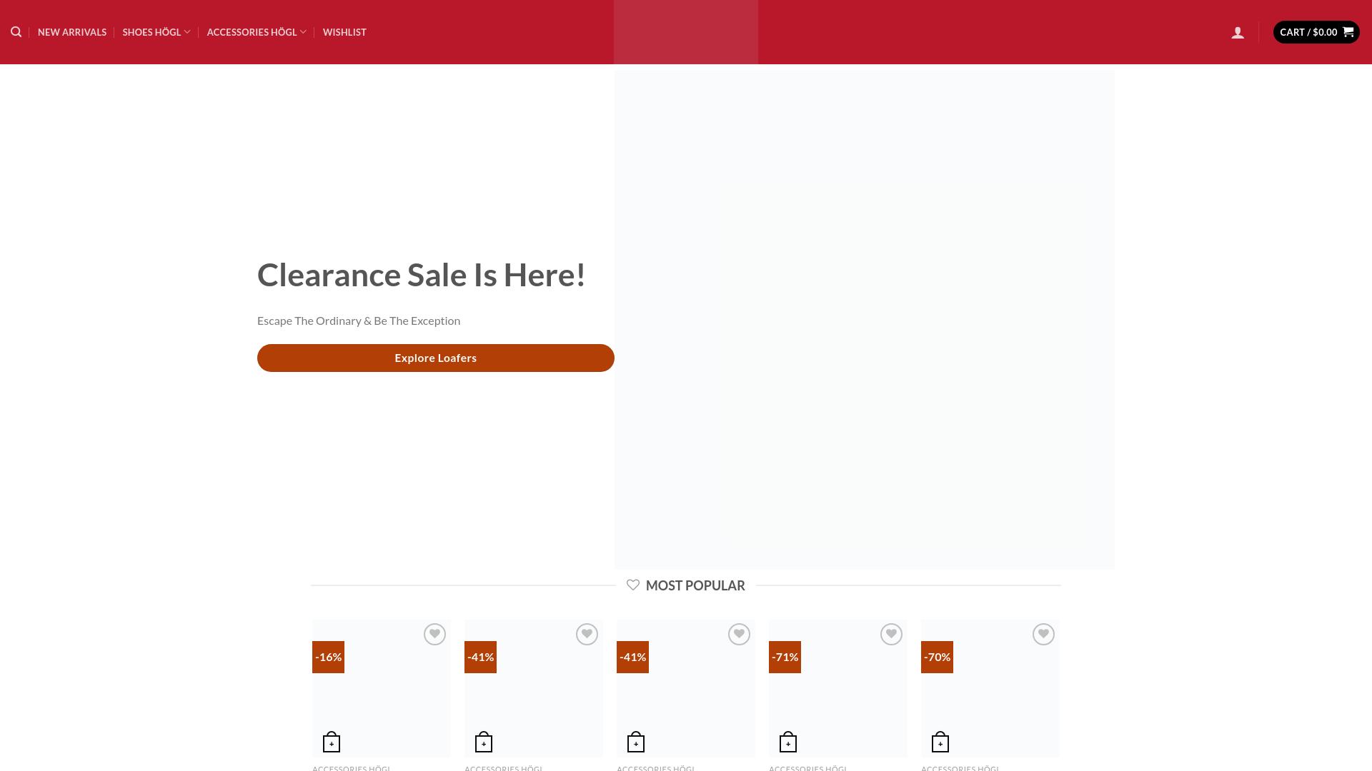 Screenshot hoeglshoes.com