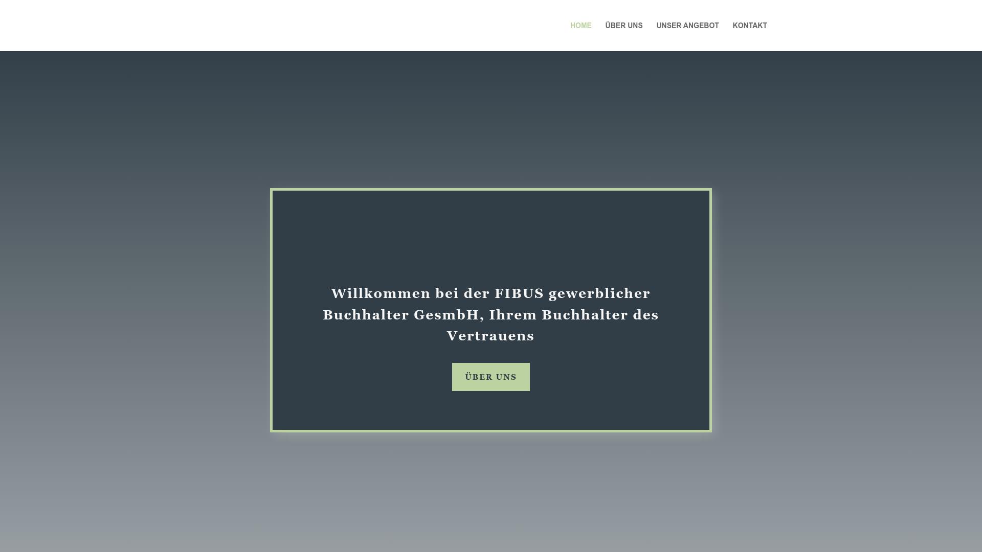 Screenshot fibusgewerblicherbuchhalter.com