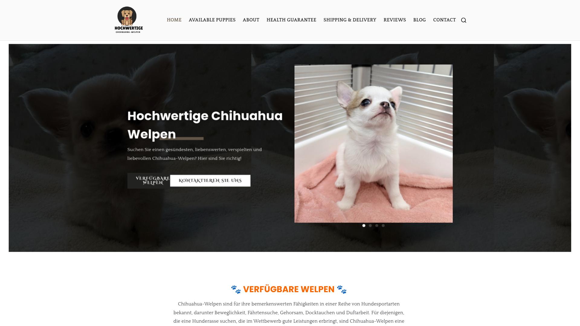 Screenshot hochwertigechihuahua-welpen.com
