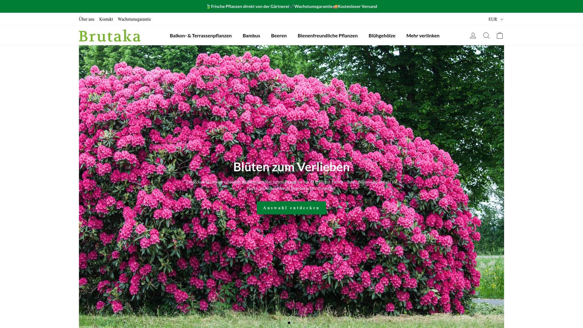 Screenshot brutaka.com