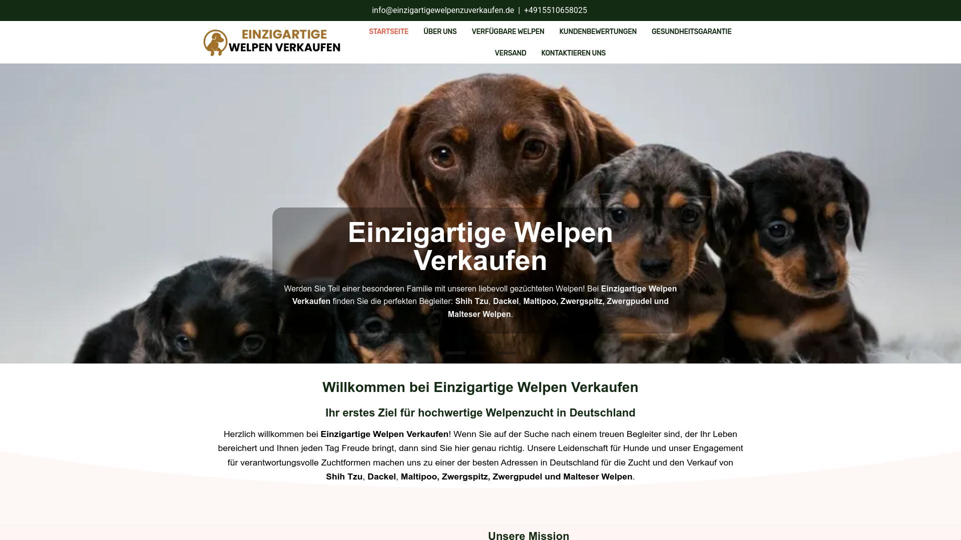 Screenshot einzigartigewelpenzuverkaufen.de