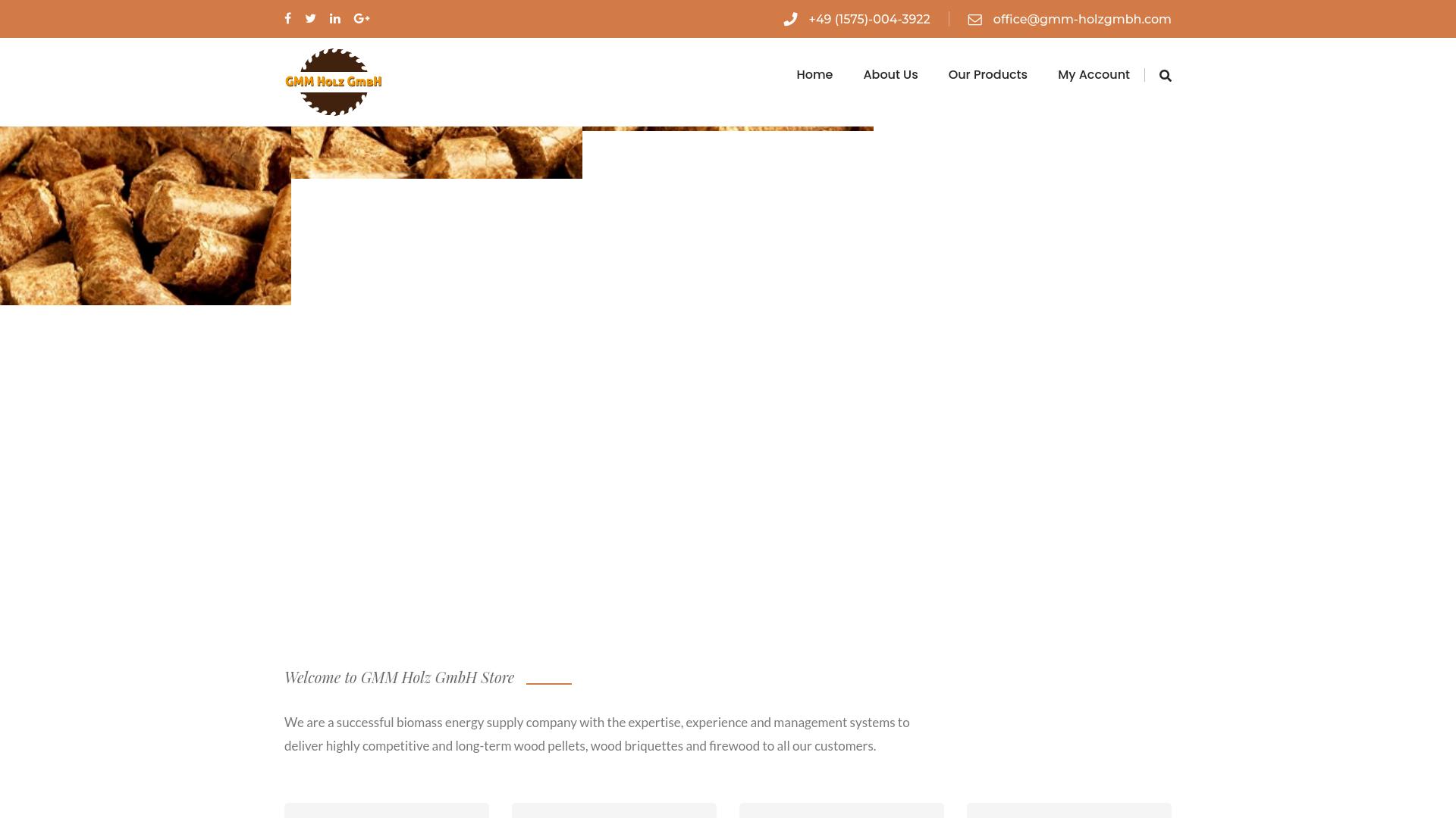 Screenshot gmm-holzgmbh.com