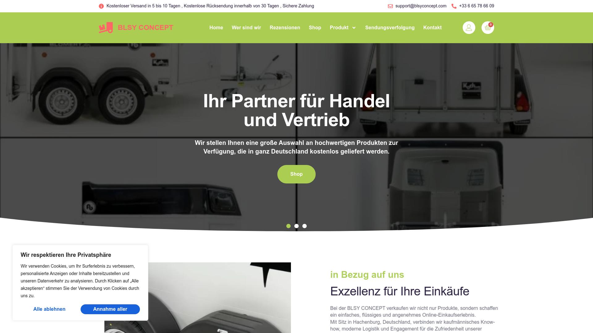 Screenshot blsyconcept.com