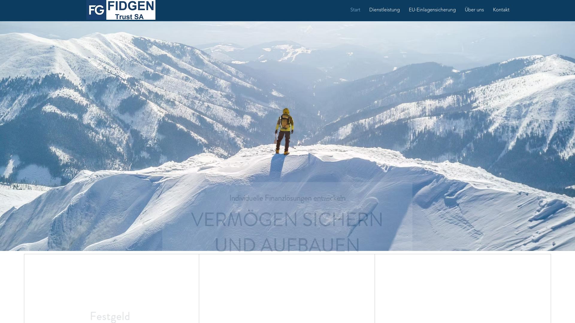 Screenshot fidgen-trust.com