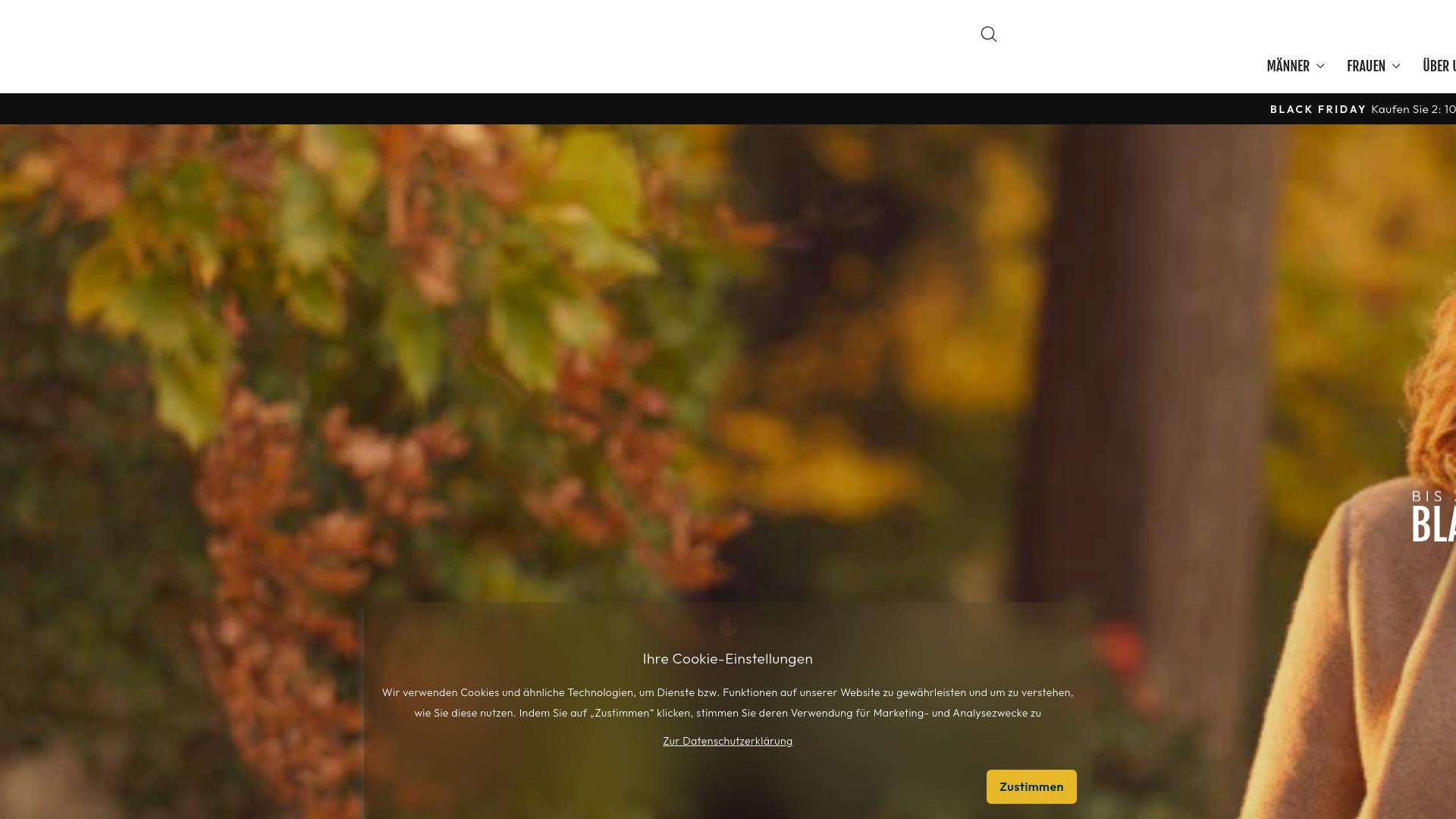 Screenshot bxrlin.de