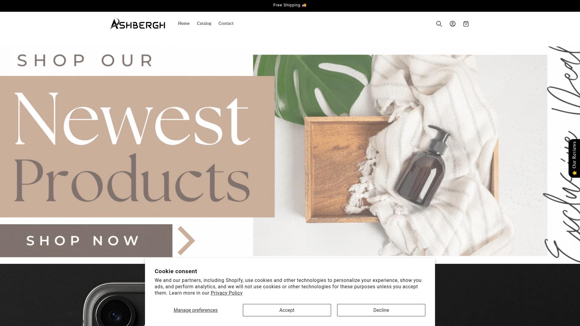 Screenshot ashbergh.com