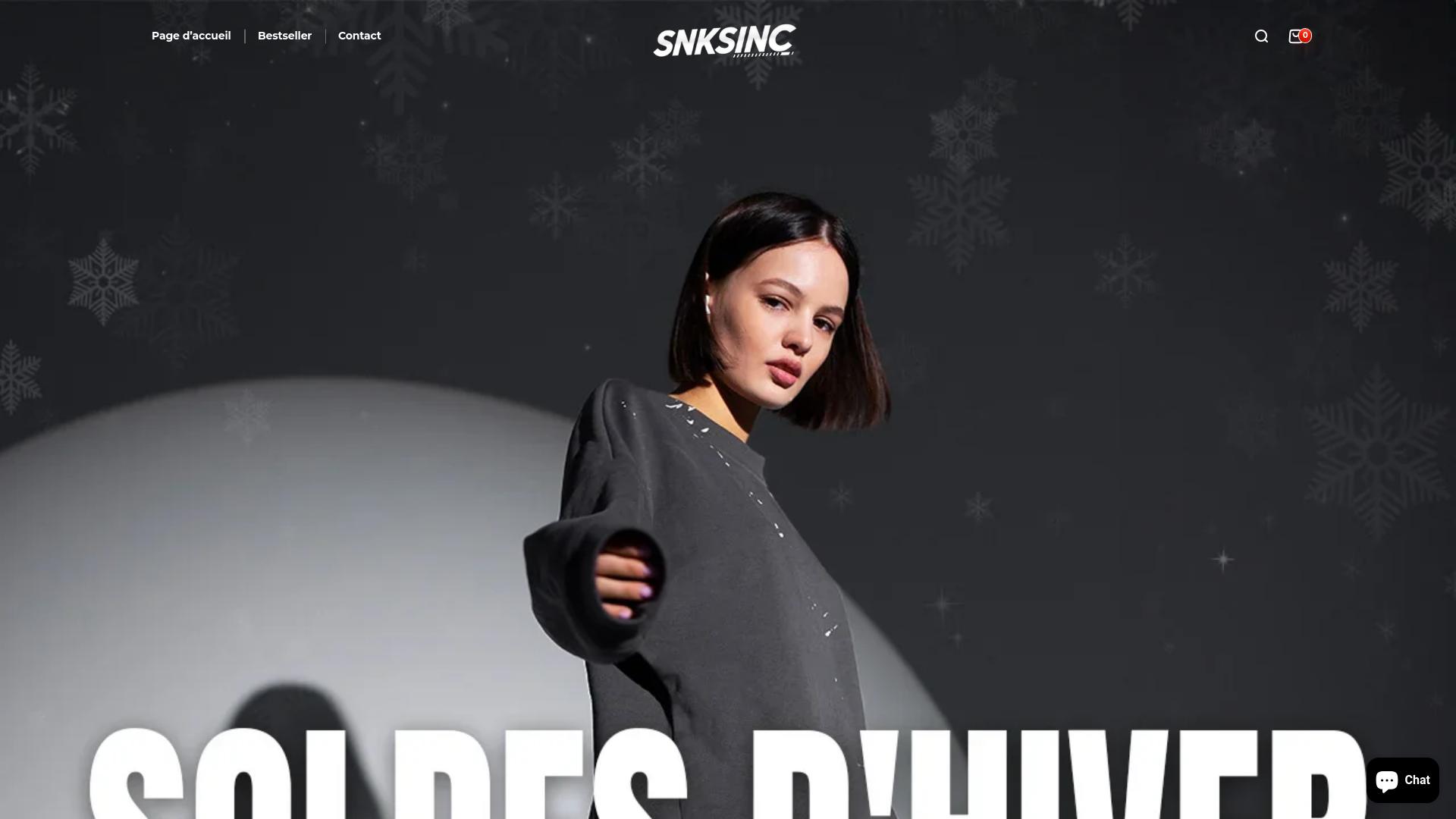 Screenshot snksinc.de