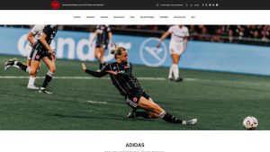 frankfurteintrachtshop.com: Fake Shop oder seriös? | Hinweishelden