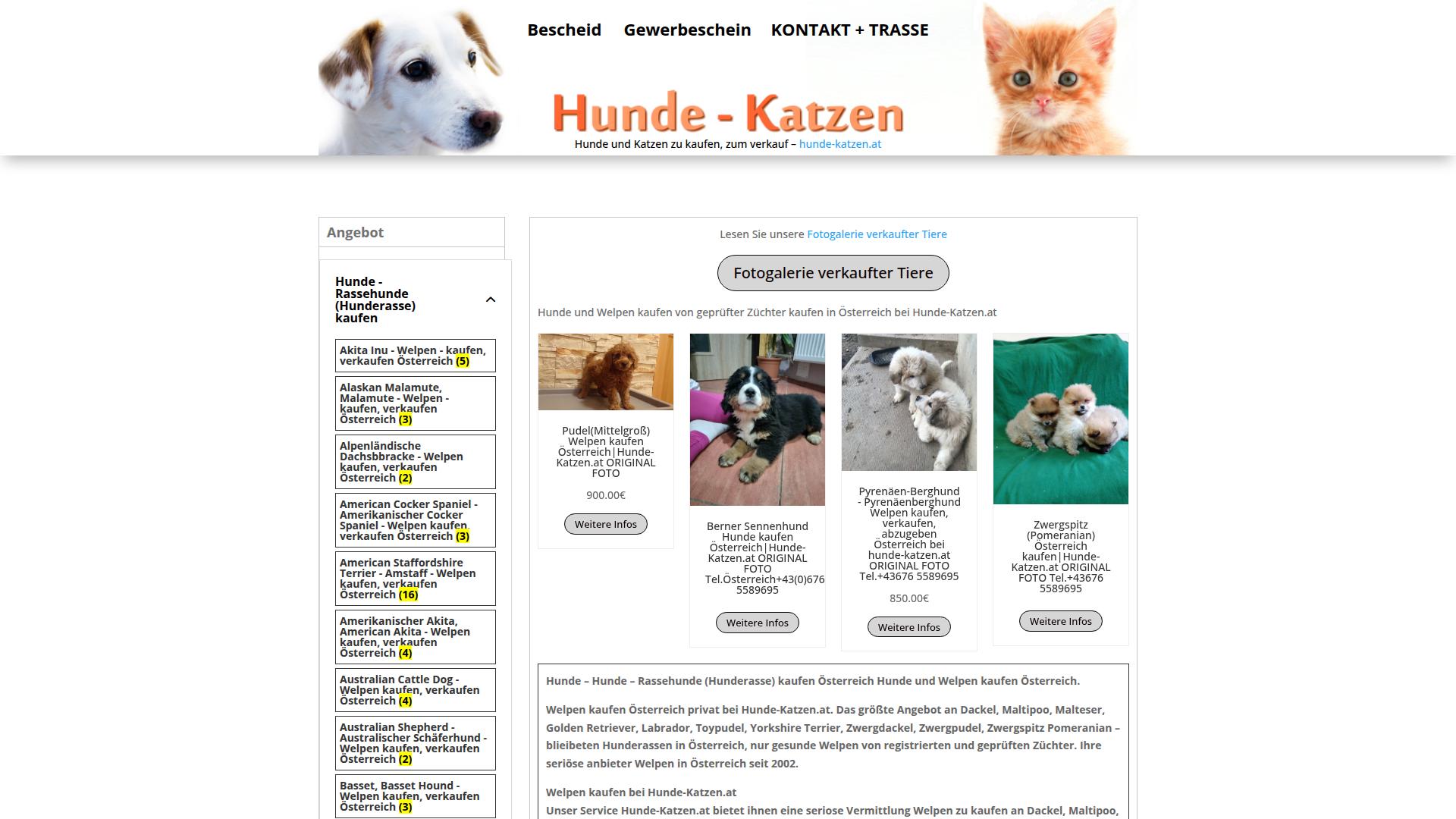 Screenshot hunde-katzen.at