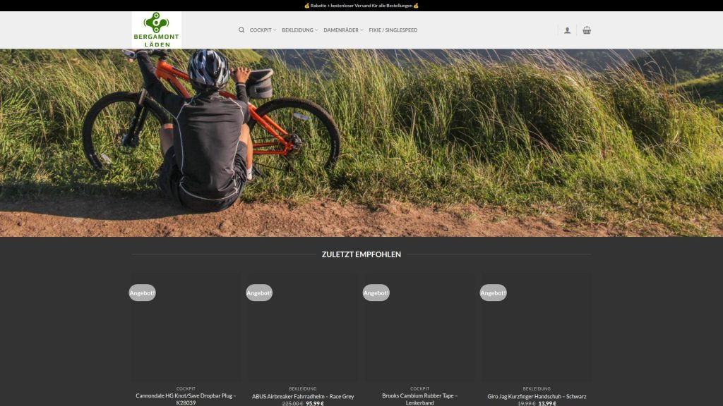 singlespeedde.com