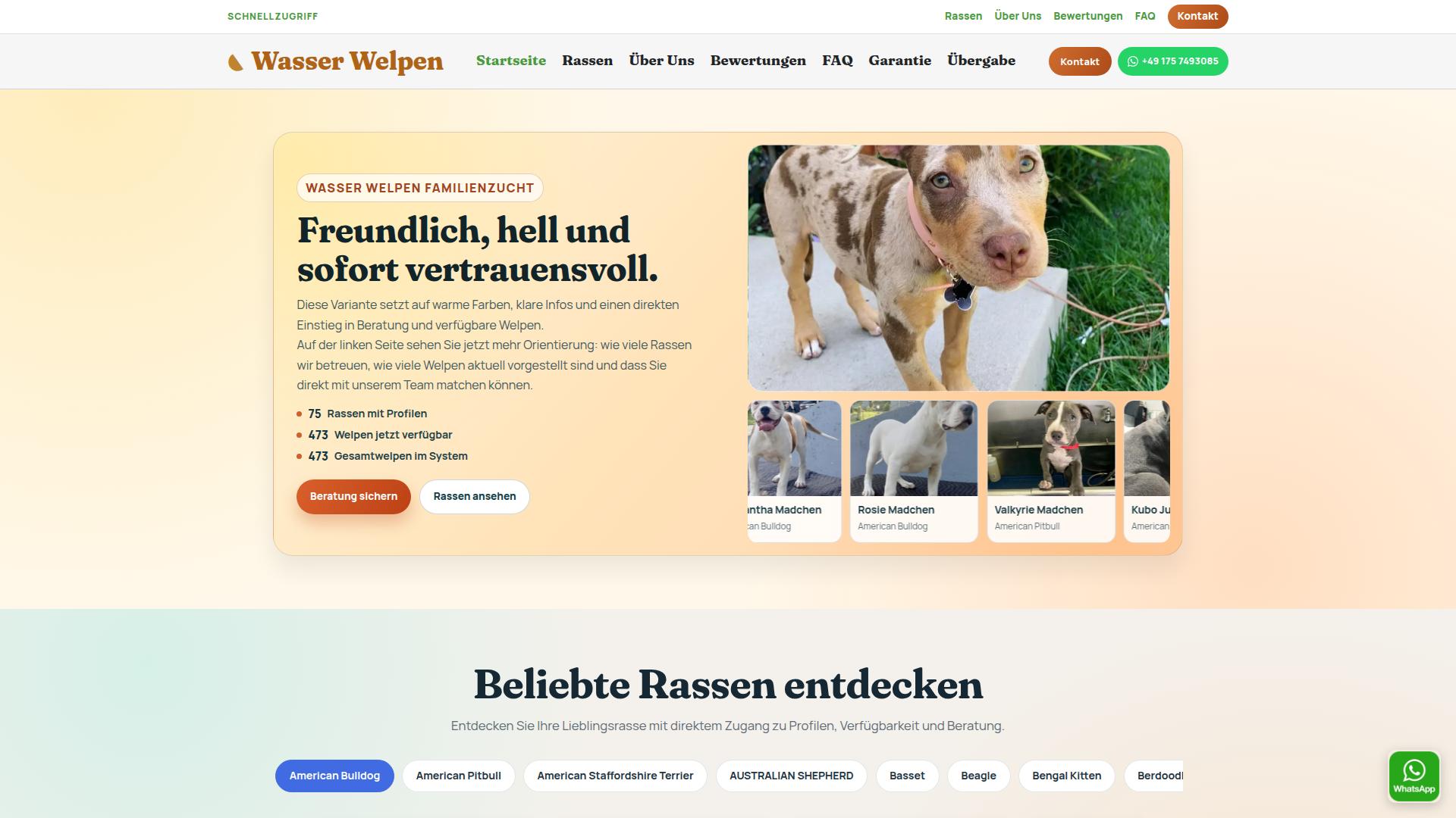 Screenshot wasserwelpen.de