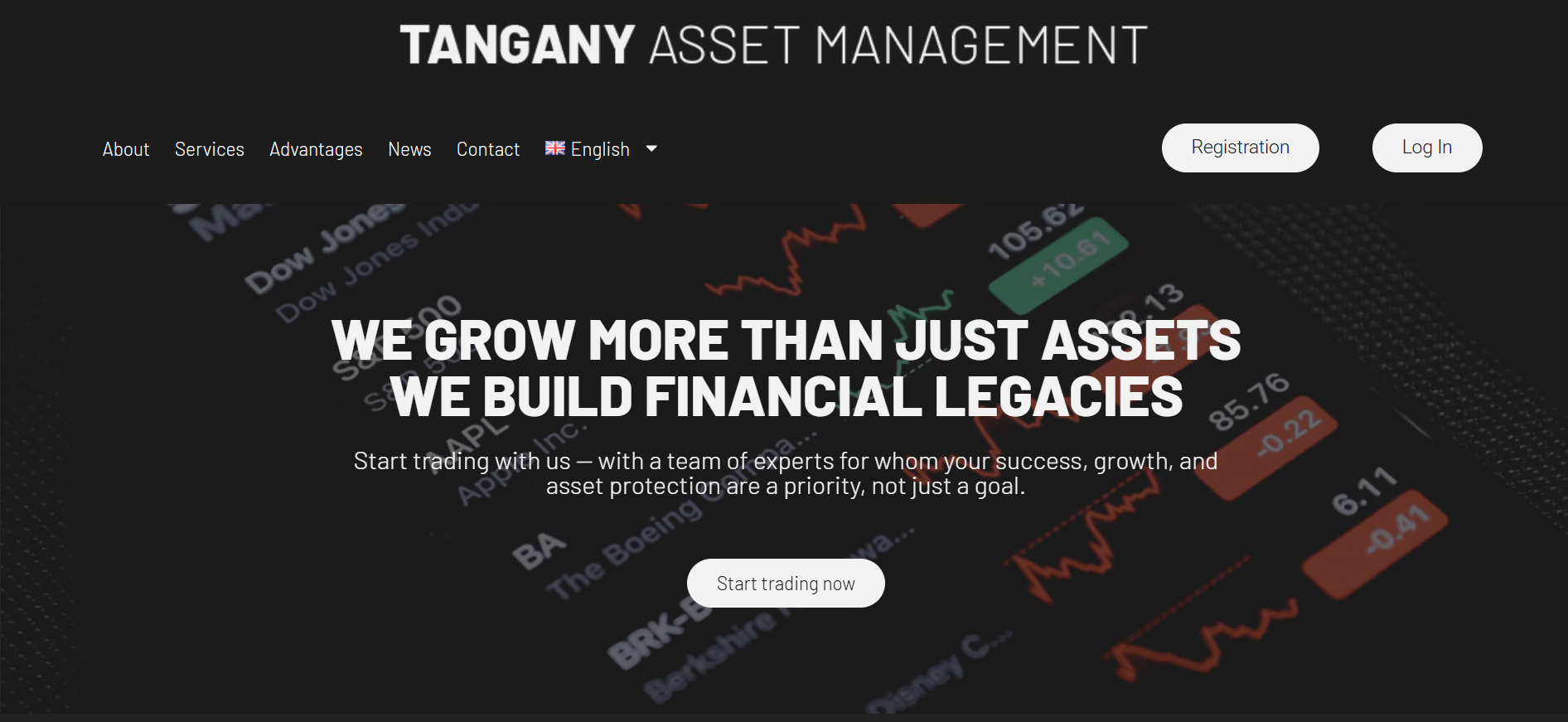 Screenshot tanganyassetmanagement.com