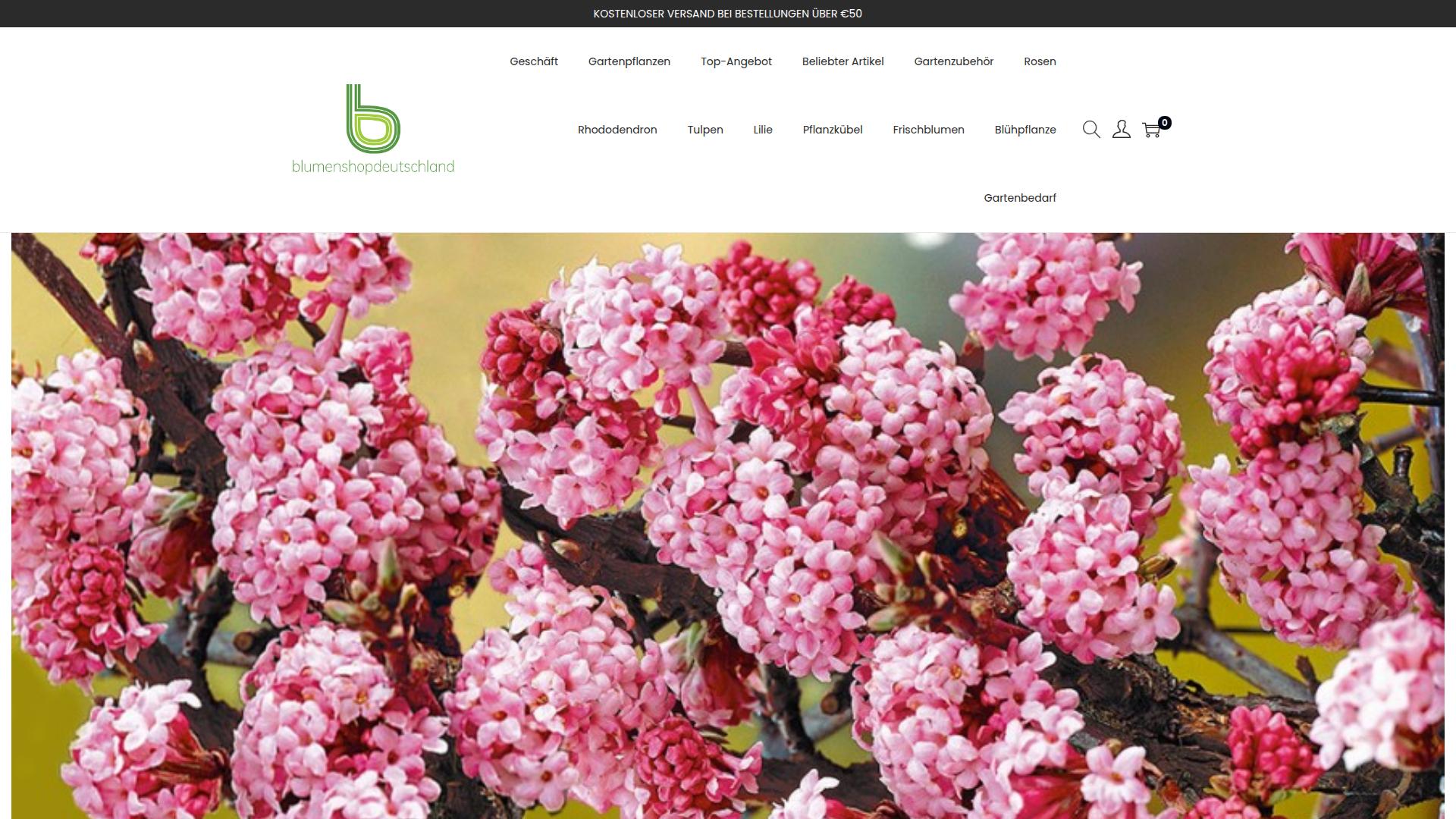 Screenshot blumenshopdeutschland.de