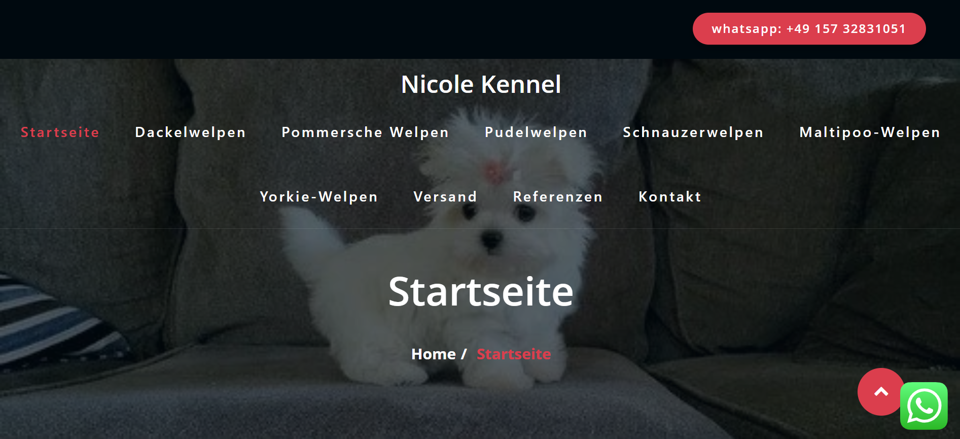 Screenshot nicolekennel.de