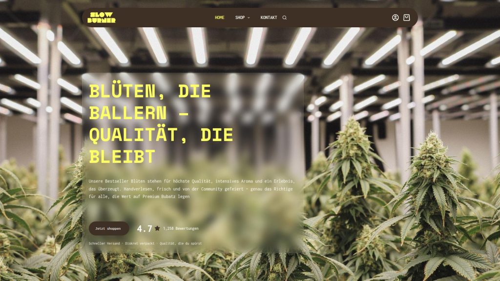 slowburner.de