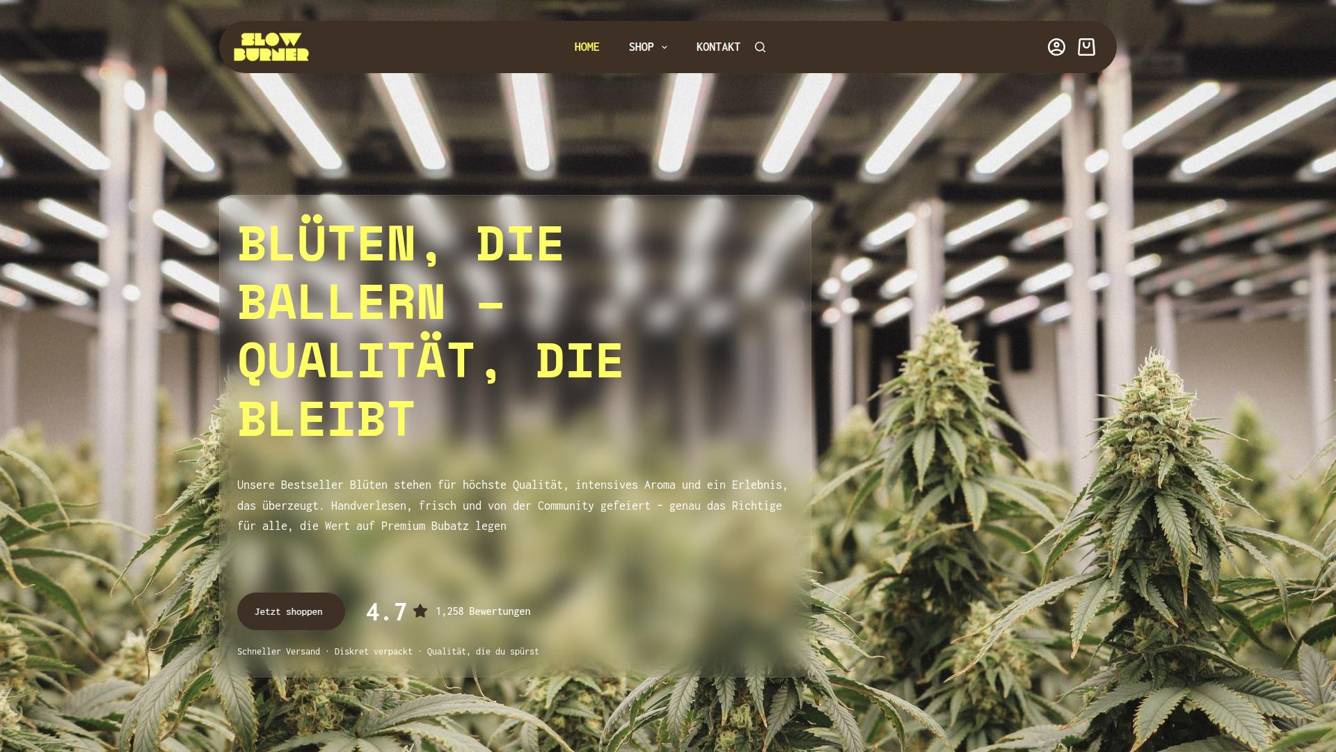 Screenshot slowburner.de