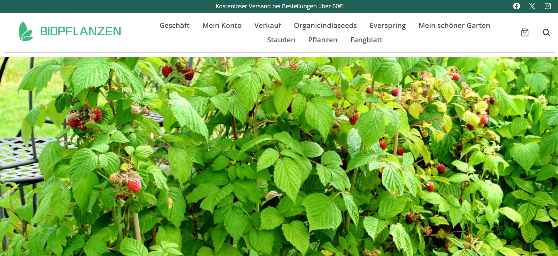 Screenshot biopflanzenshop.com