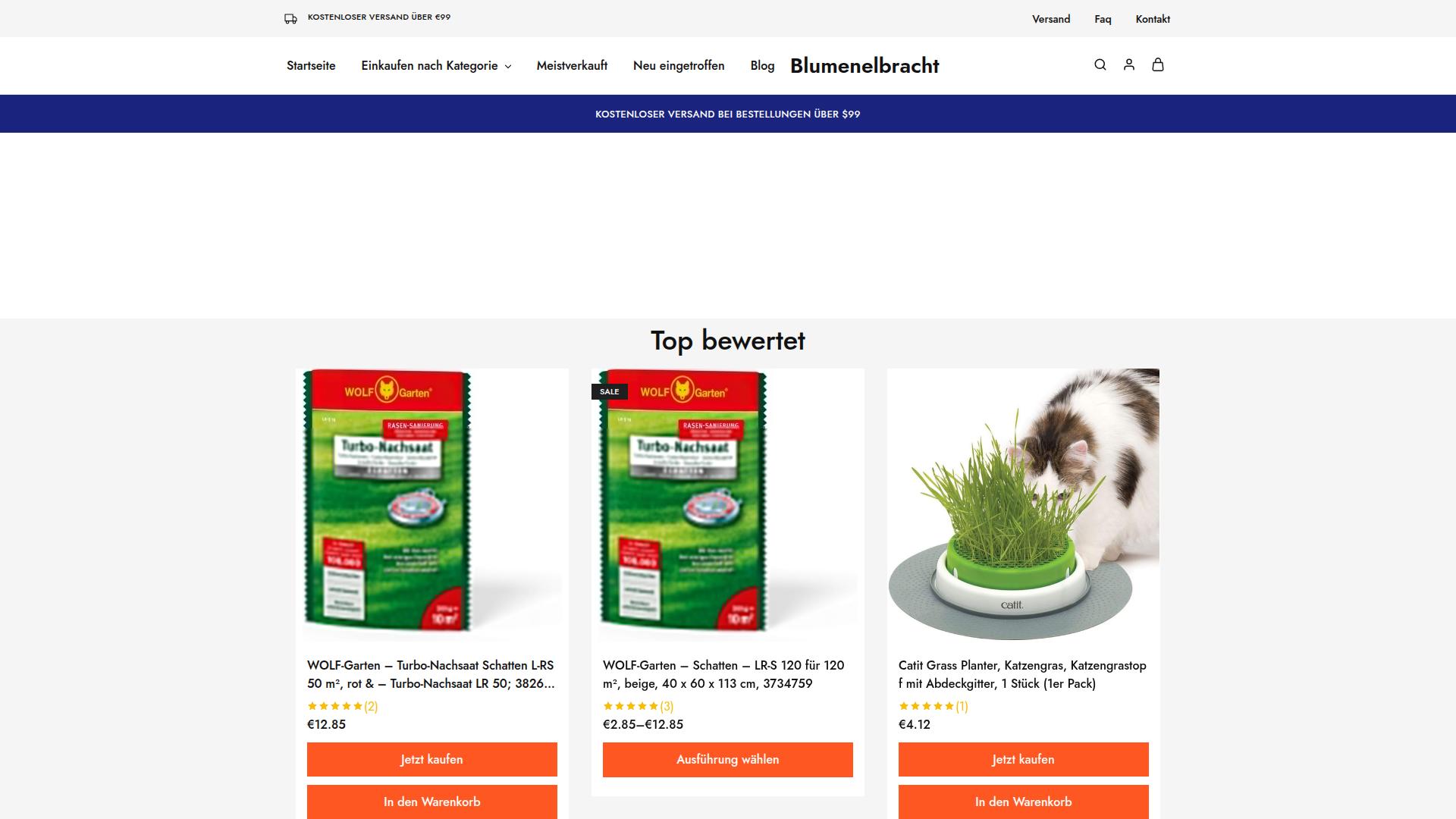 Screenshot blumenelbracht.de