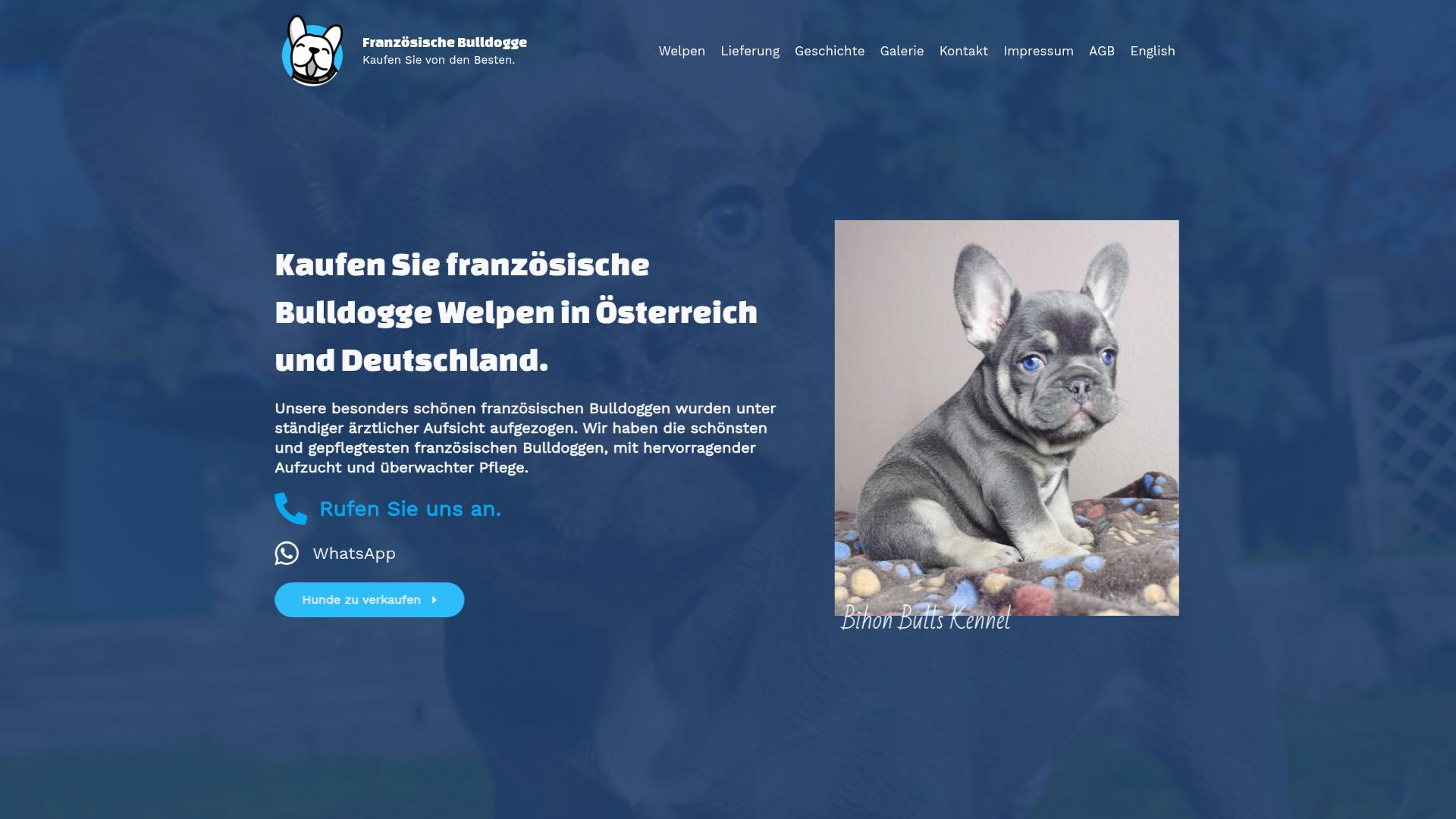 Screenshot franzoesischebulldogge.at
