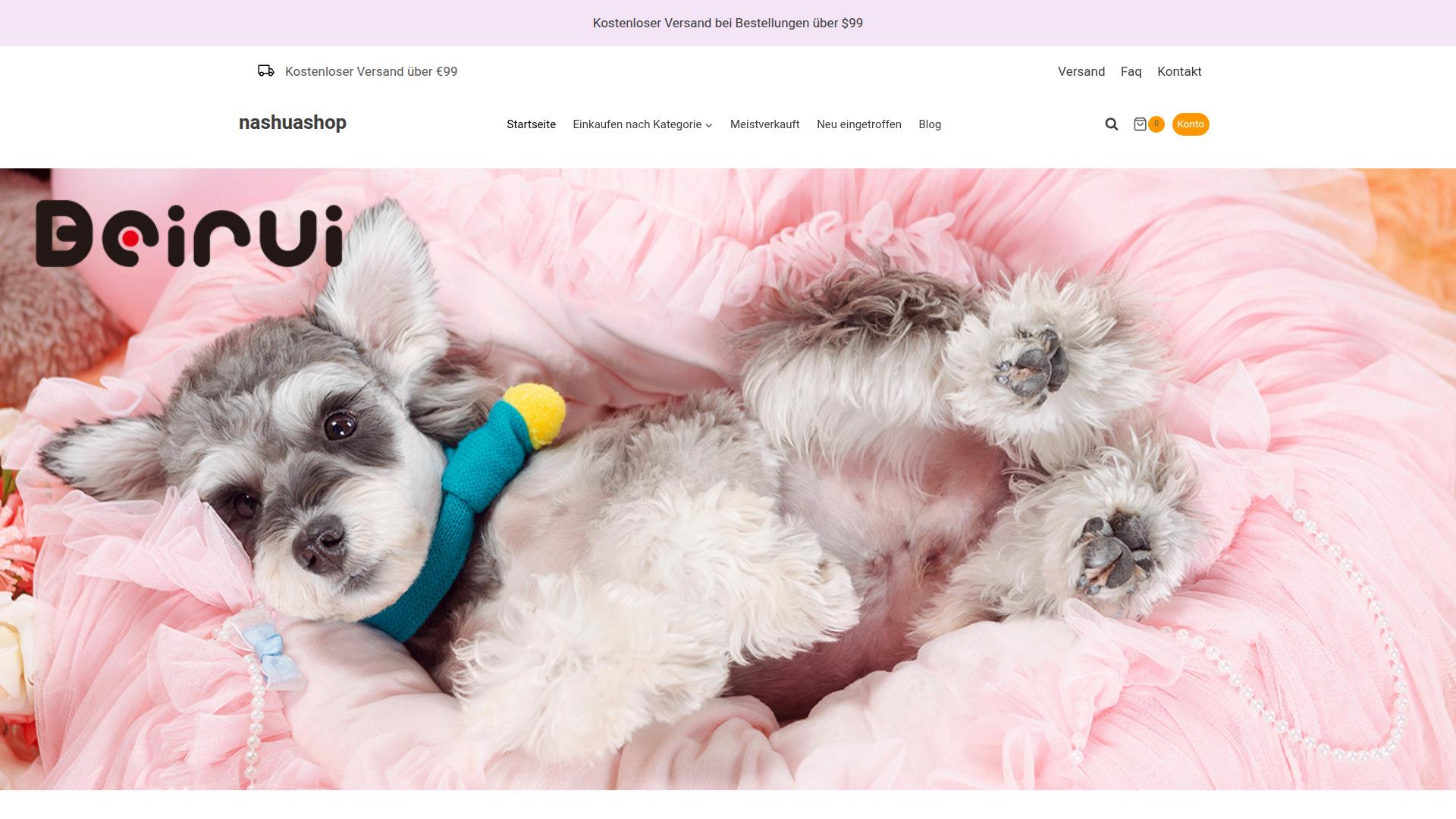 Screenshot nashuashop.de