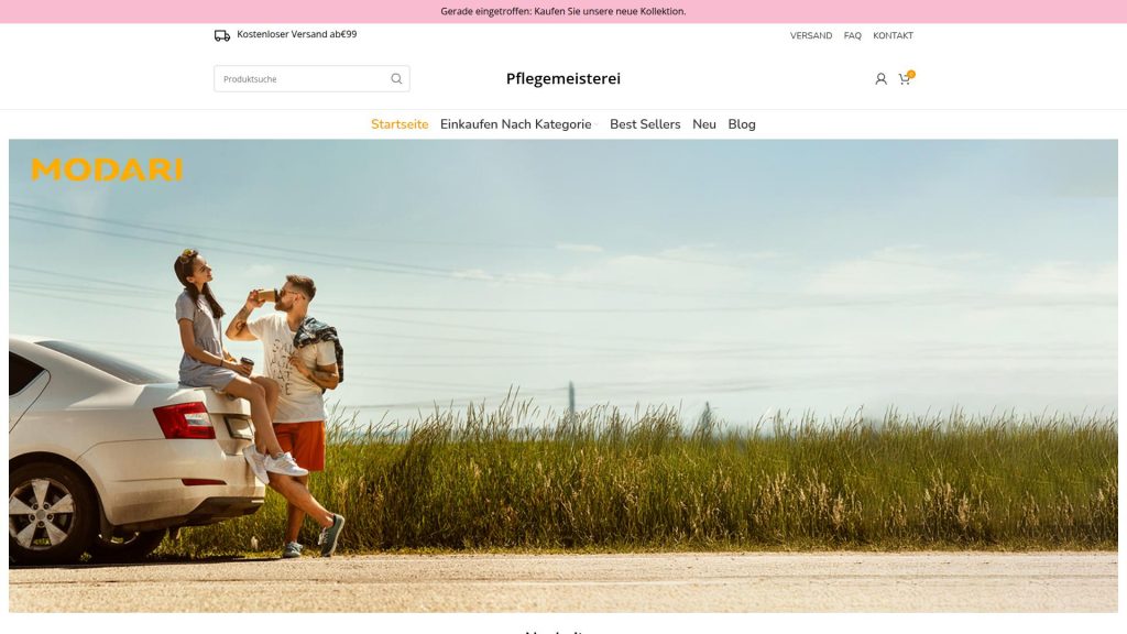 pflegemeisterei.de