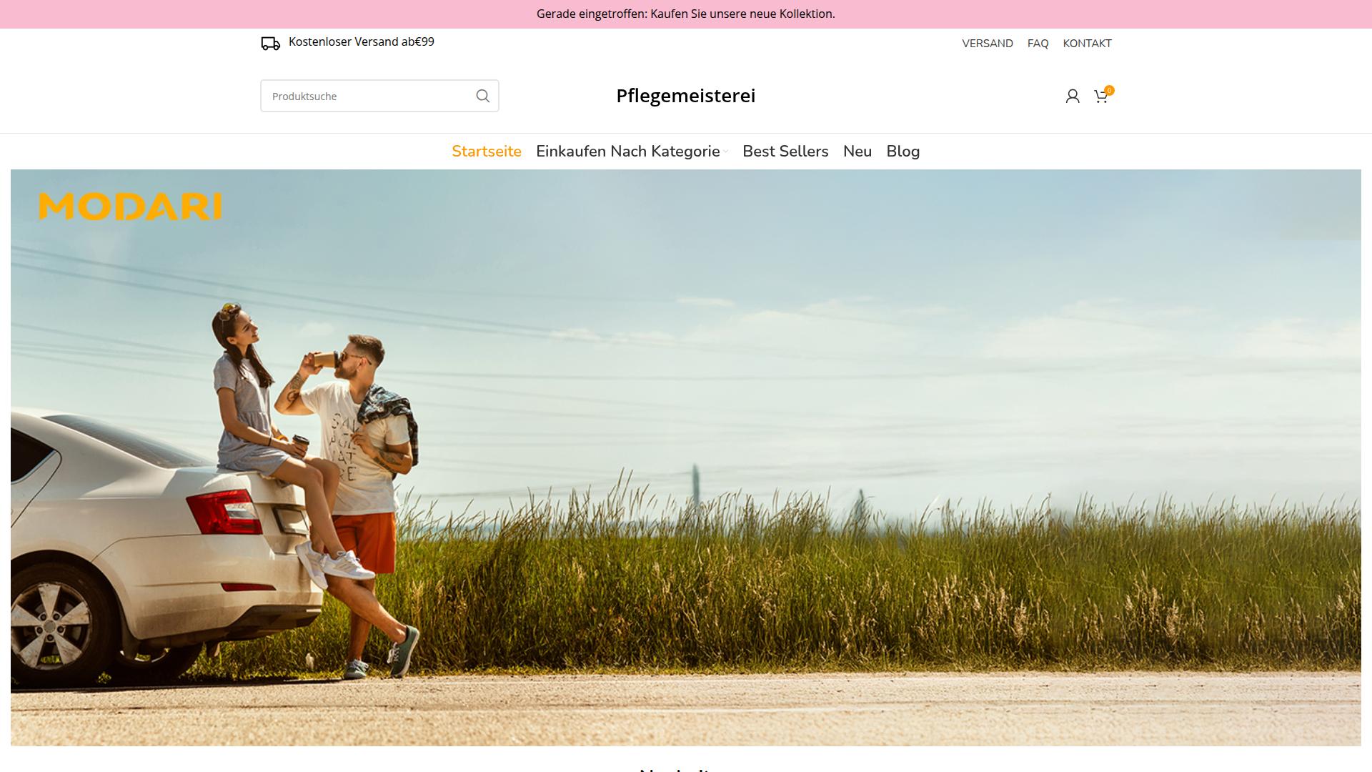 Screenshot pflegemeisterei.de