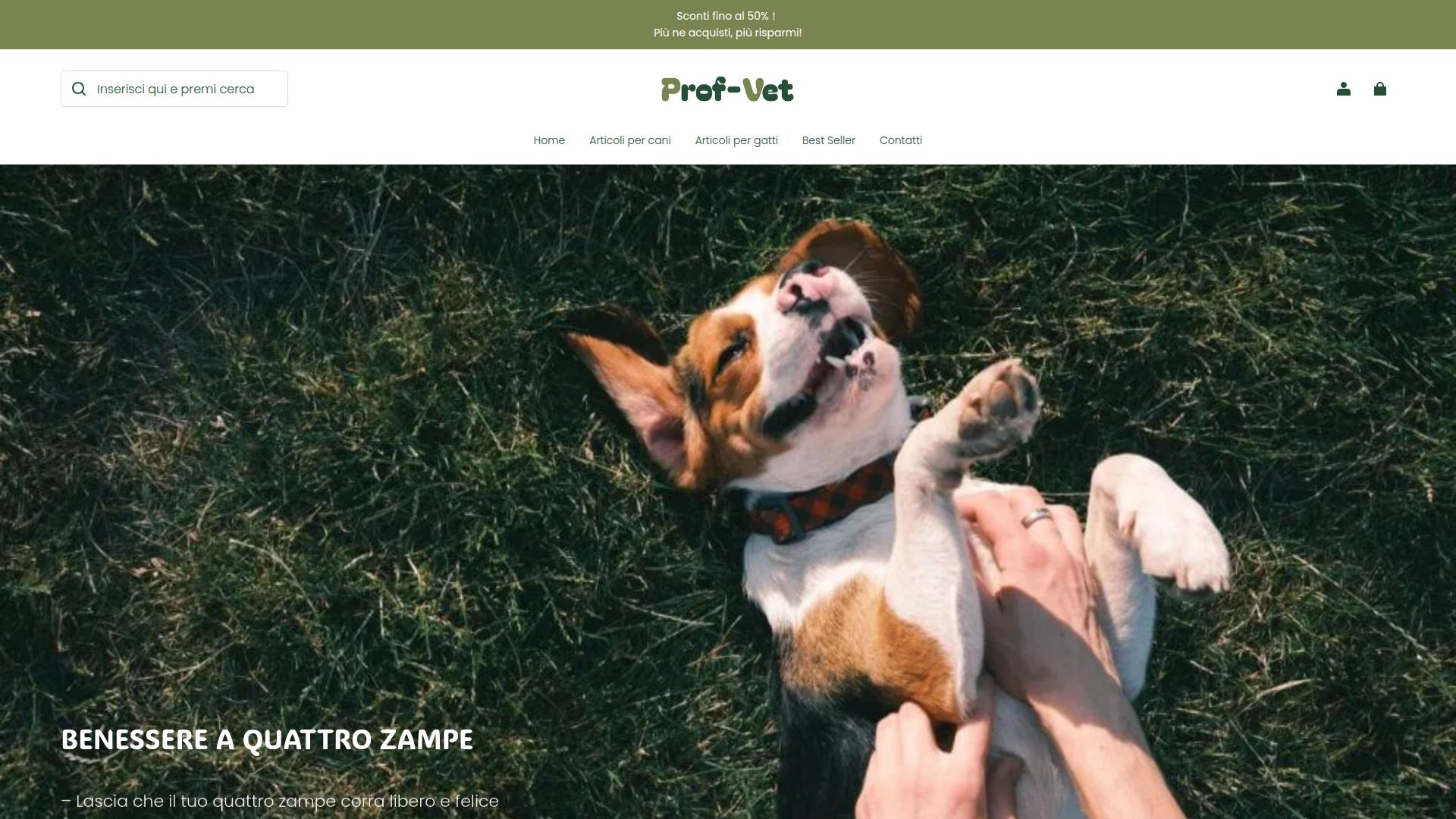 Screenshot prof-vet.com
