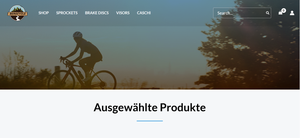 bergcycle.com