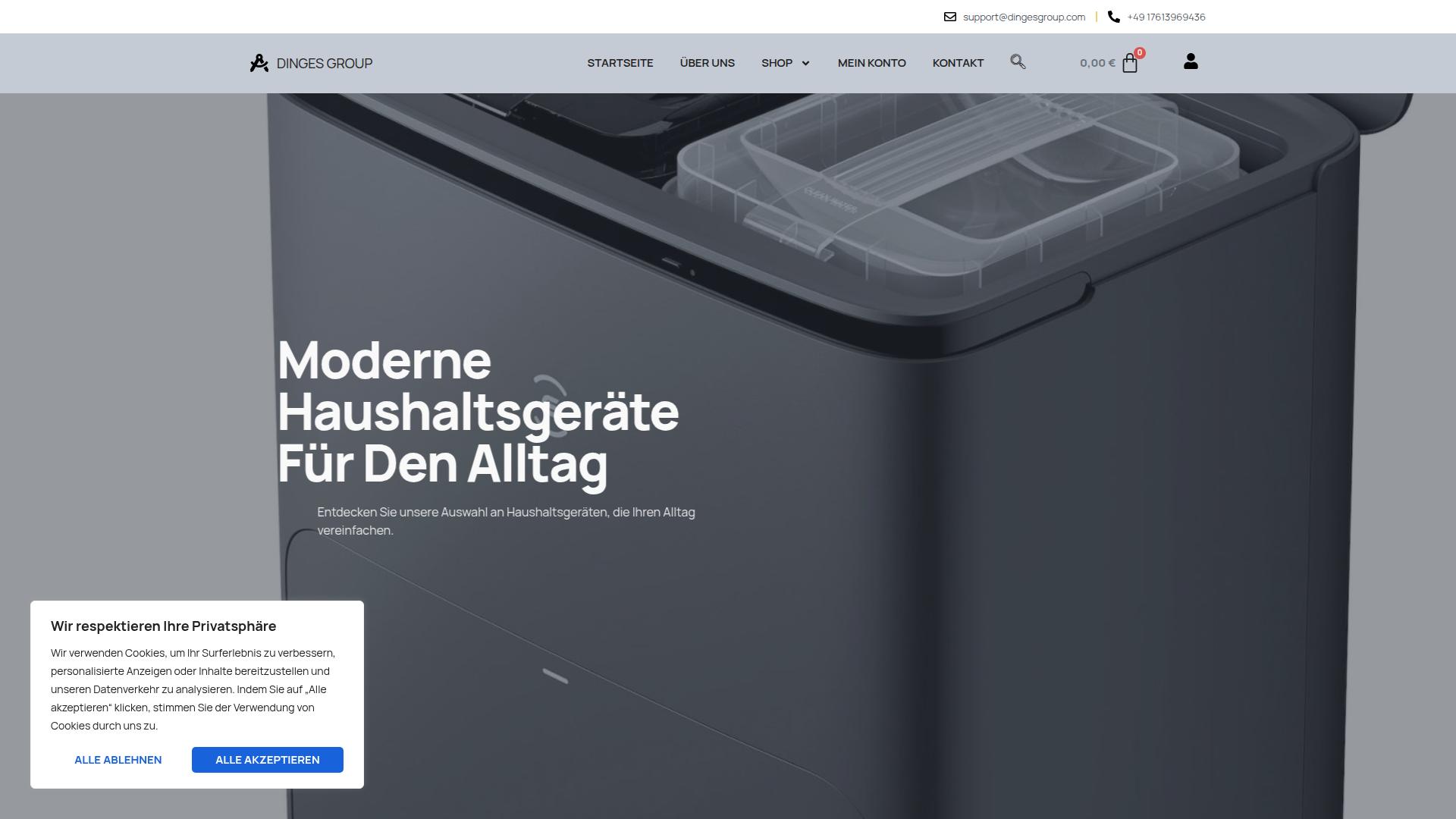 Screenshot dingesgroup.com