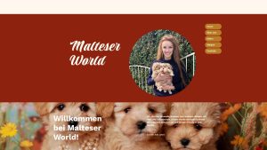 Vorsicht vor malteserworld.at – Verdacht auf Fake Shop