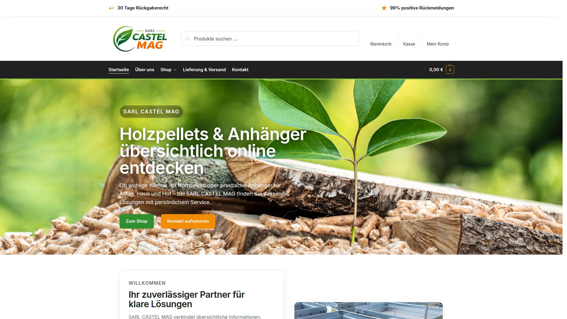Screenshot sarl-castelmag.com