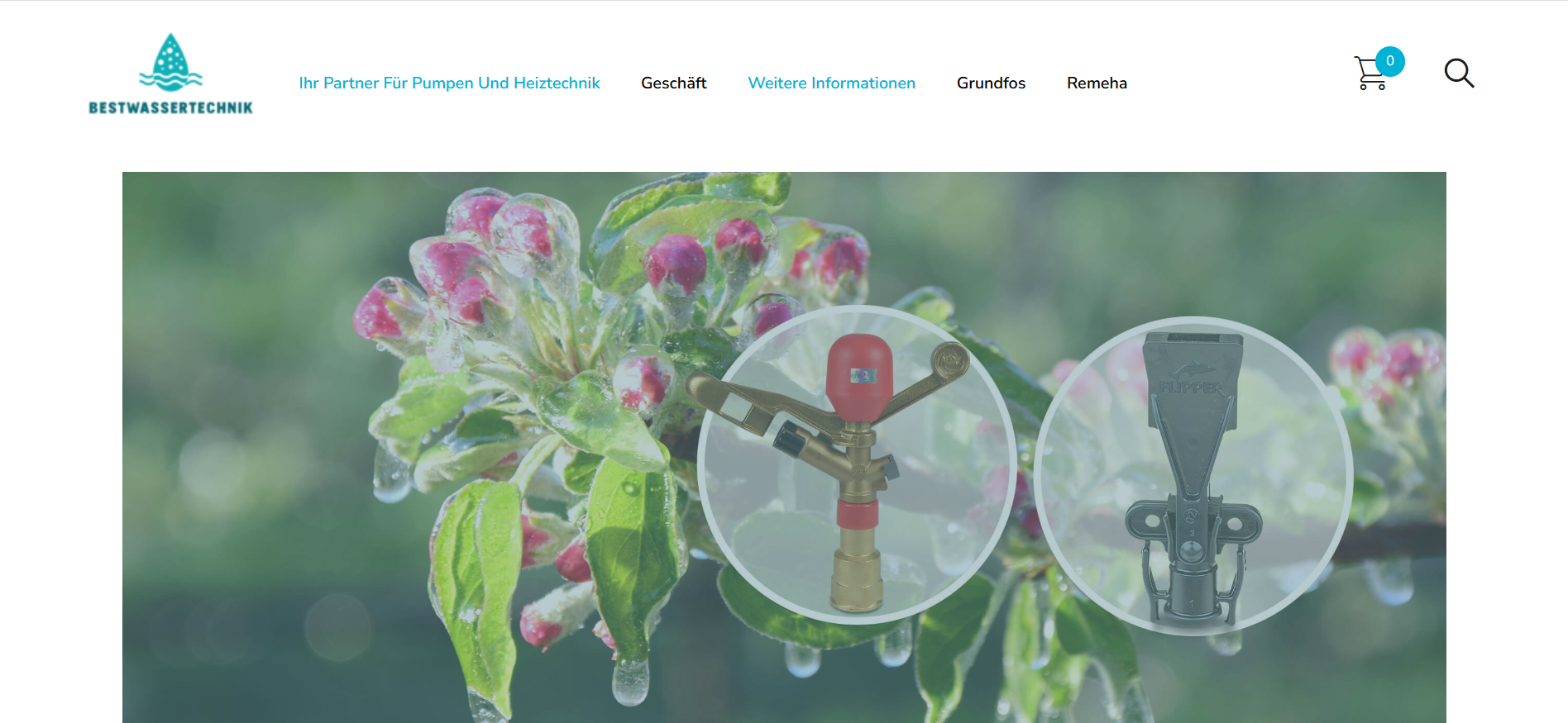 Screenshot bestwassertechnik.com
