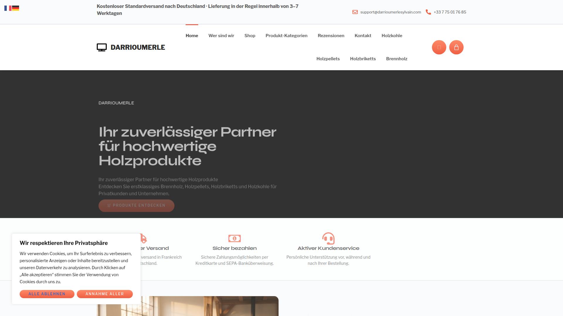 Screenshot darrioumerlesylvain.com