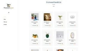Vorsicht vor eversonehandel.at – Verdacht auf Fake Shop