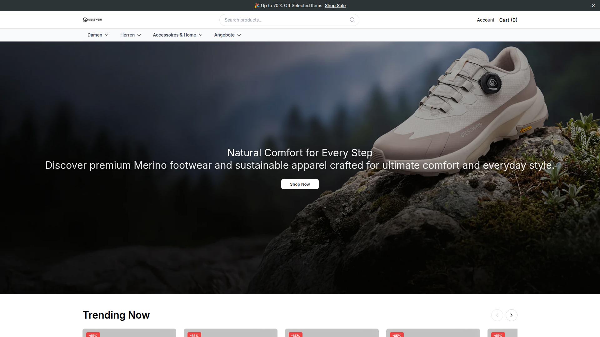 Screenshot giessweinfootwear.shop
