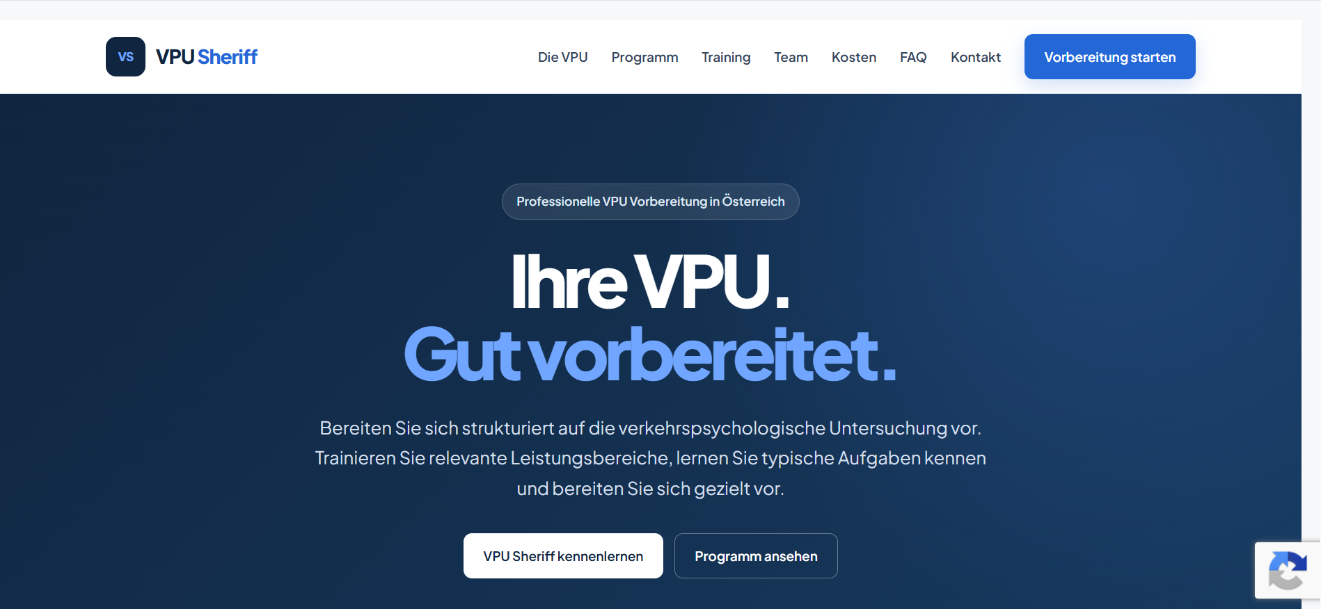 Screenshot vputest.online