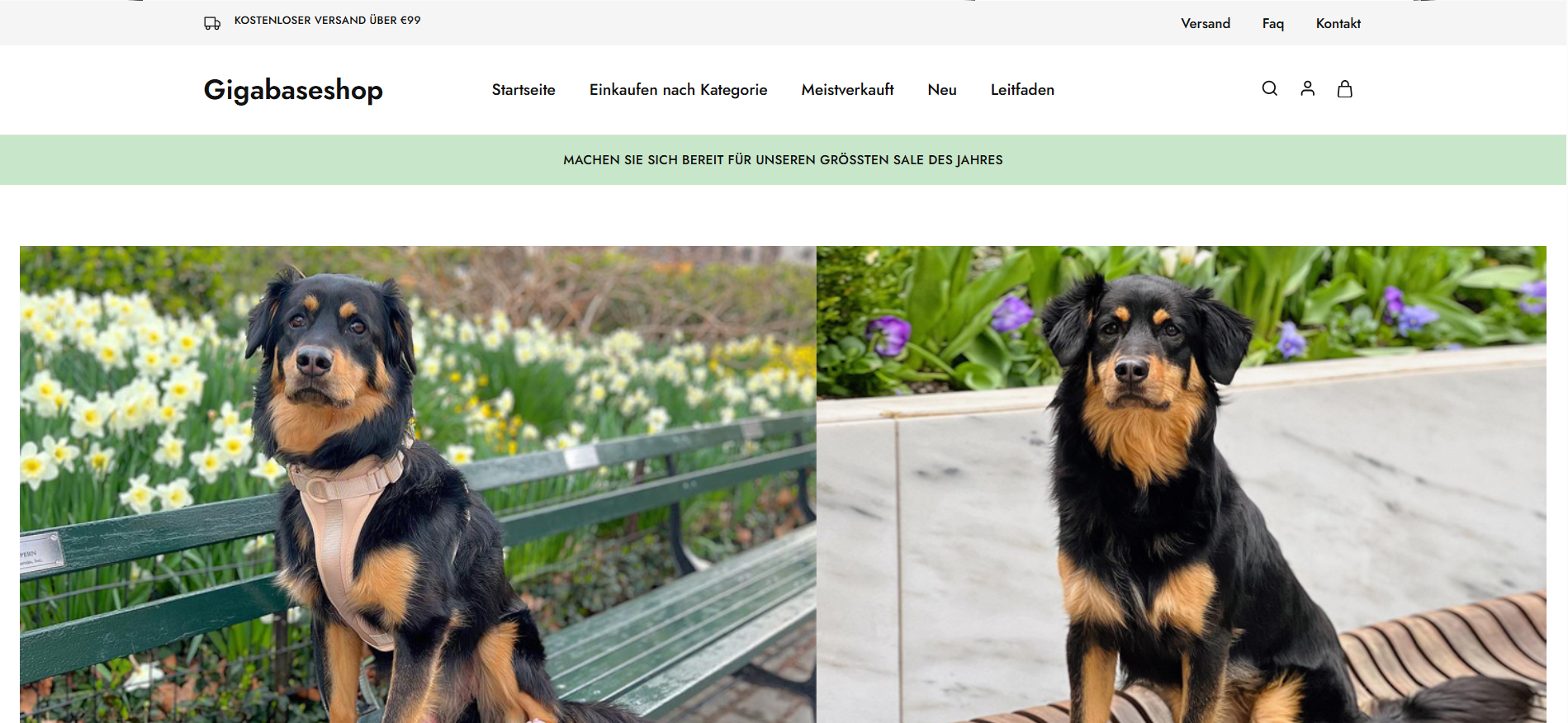 Screenshot gigabaseshop.de