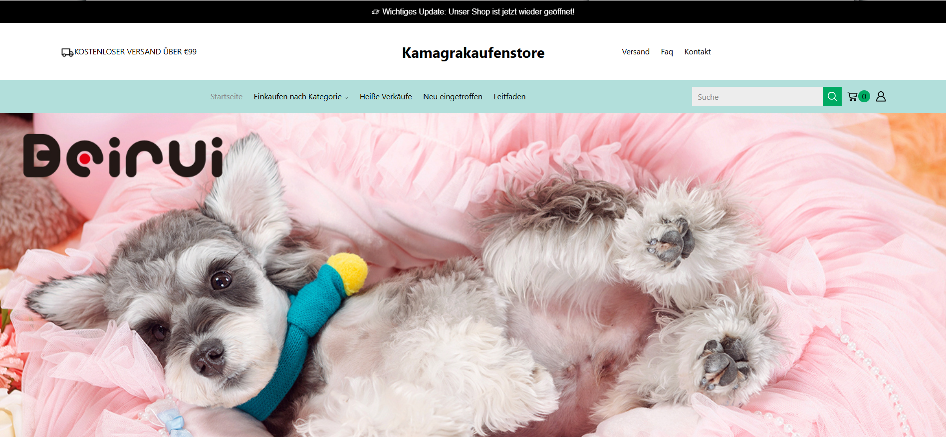 Screenshot kamagrakaufenstore.de